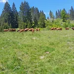 Hof Waelderblick Διαμέρισμα *