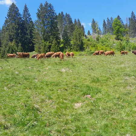 Hof Waelderblick * Ibach