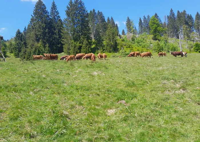 Hof Waelderblick * Ibach