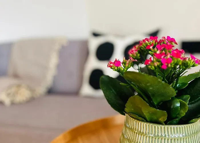 Hof Waelderblick アパート Ibach